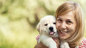 Pet Memorial Garden Ideas for Your Beloved Pet – Solamore