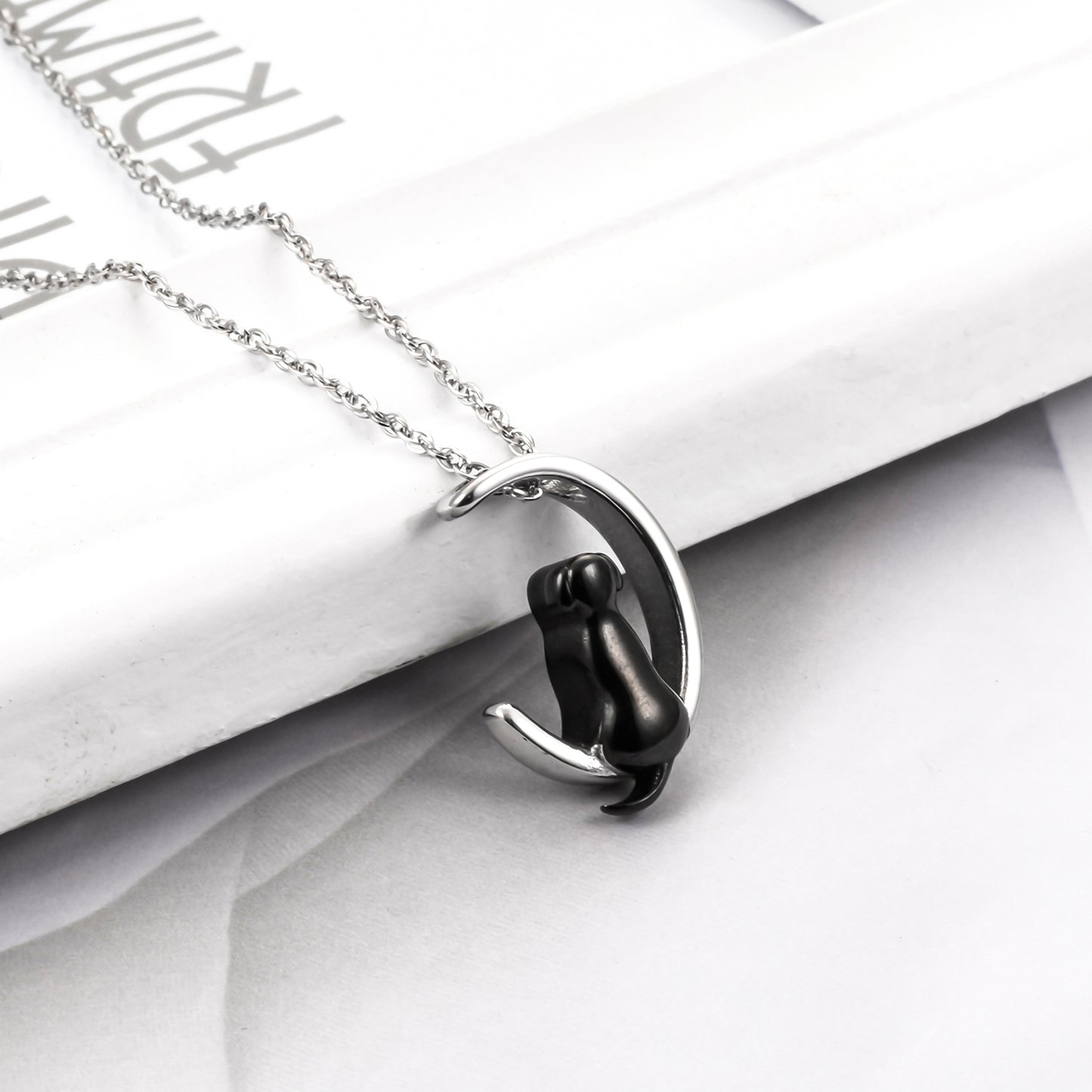 Stainless Steel Memorial Necklace for Beloved Pets Dog