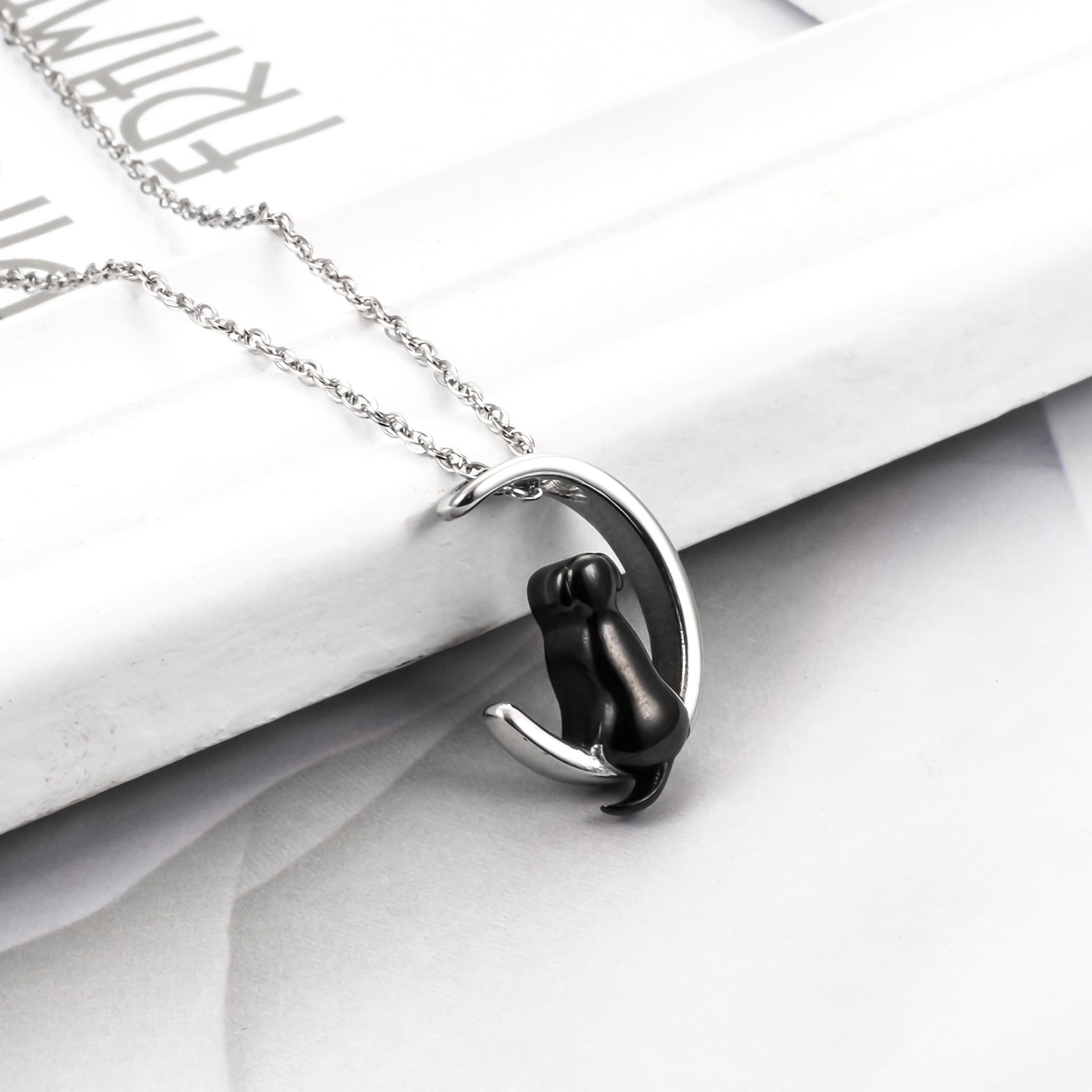 Stainless Steel Memorial Necklace for Beloved Pets Dog