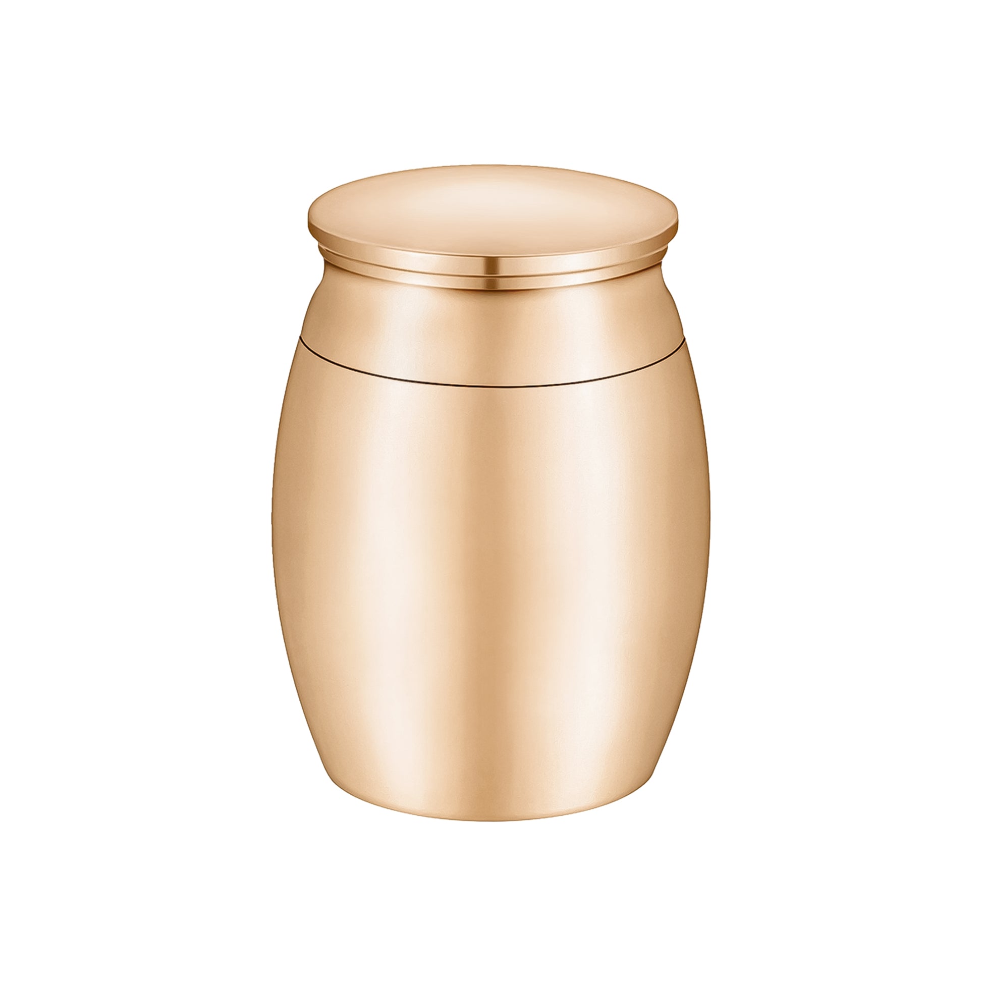 Mini Cremation Ashes Urns for Pets