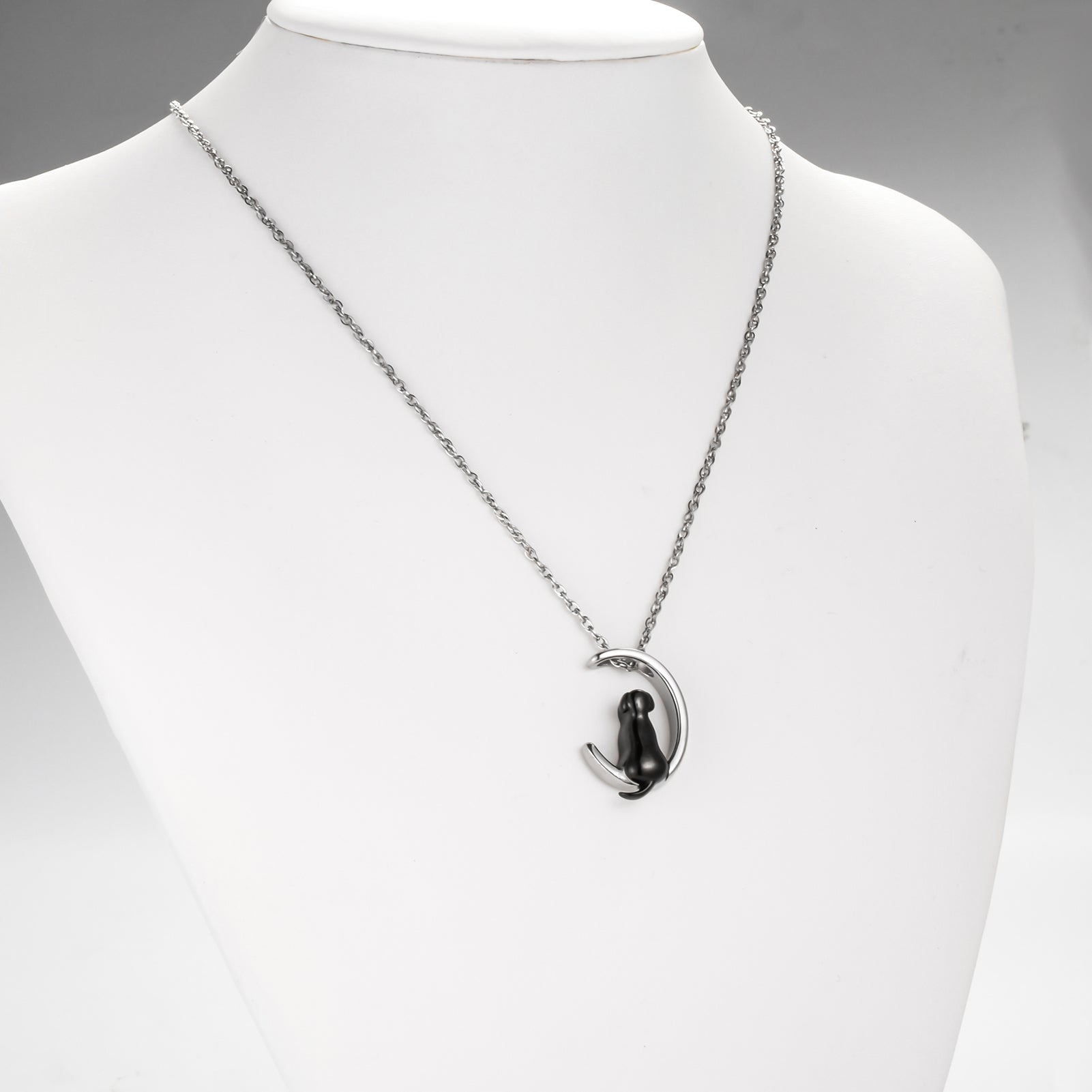 Stainless Steel Memorial Necklace for Beloved Pets Dog
