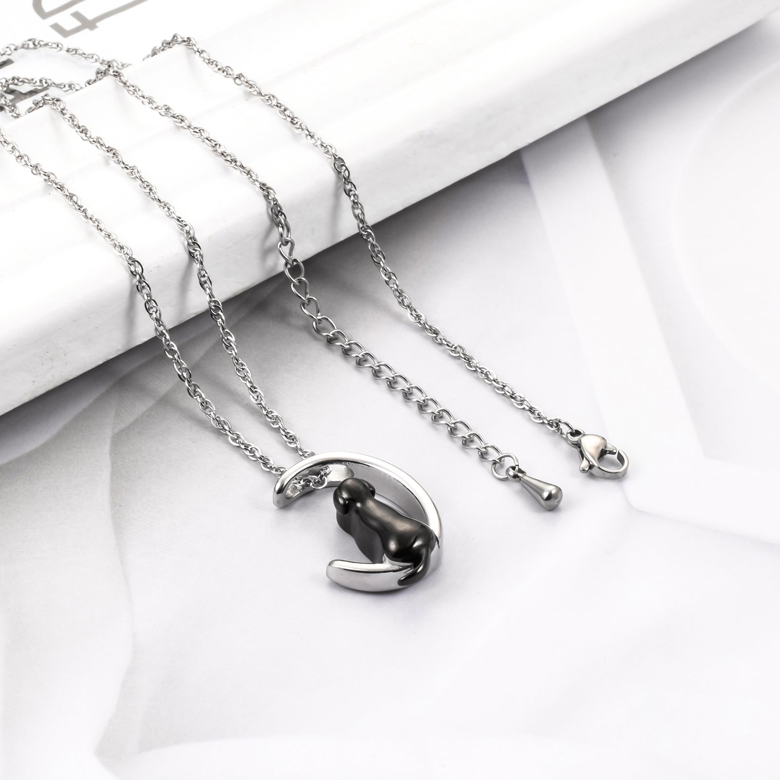 Stainless Steel Memorial Necklace for Beloved Pets Dog