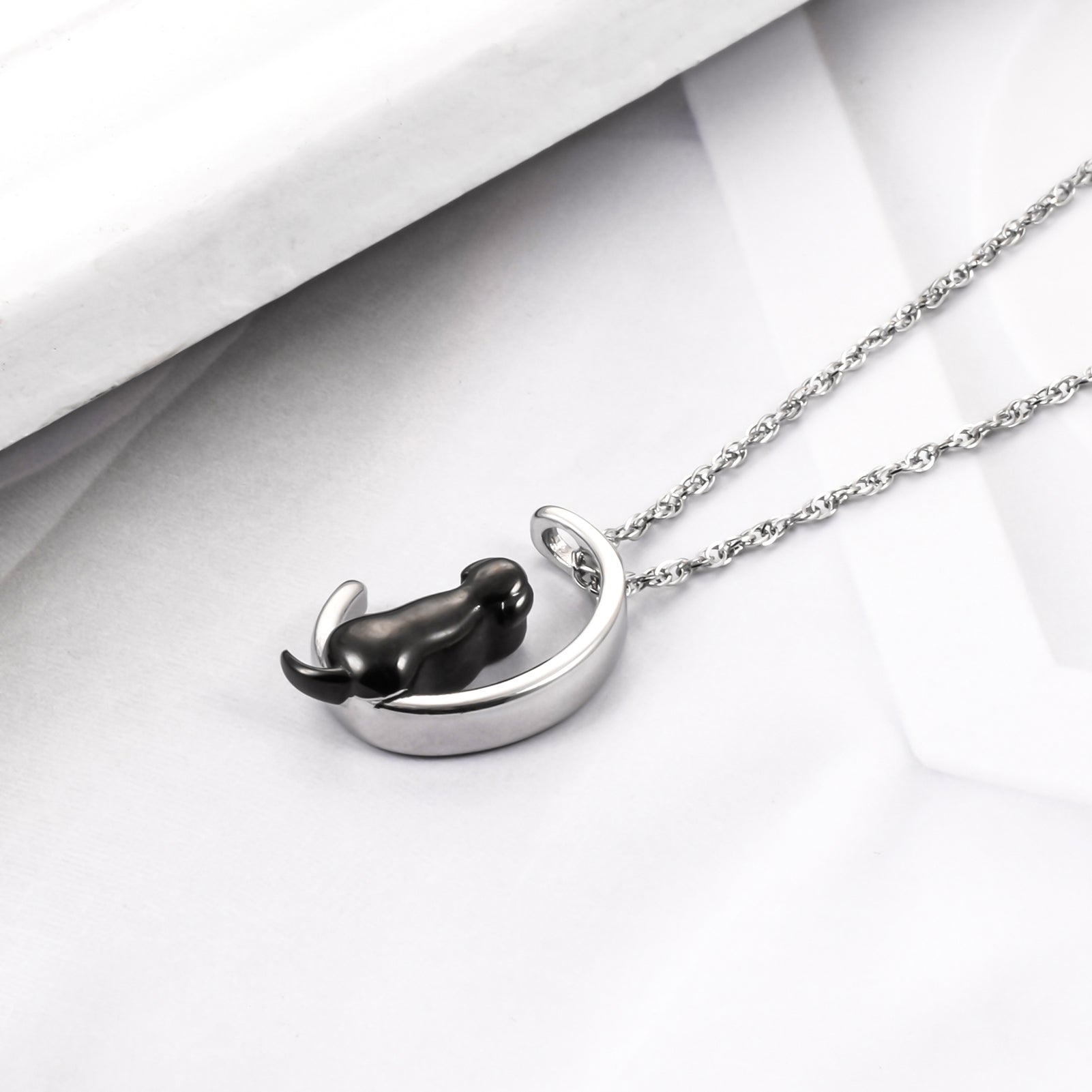 Stainless Steel Memorial Necklace for Beloved Pets Dog