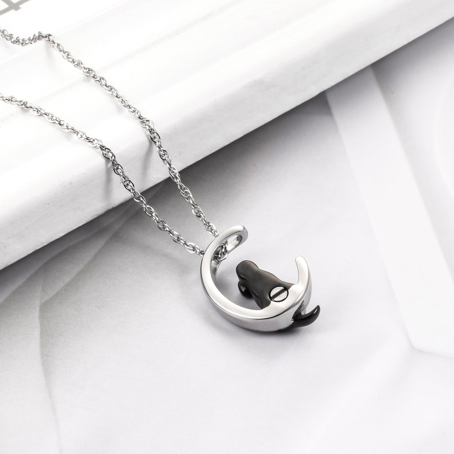 Stainless Steel Memorial Necklace for Beloved Pets Dog